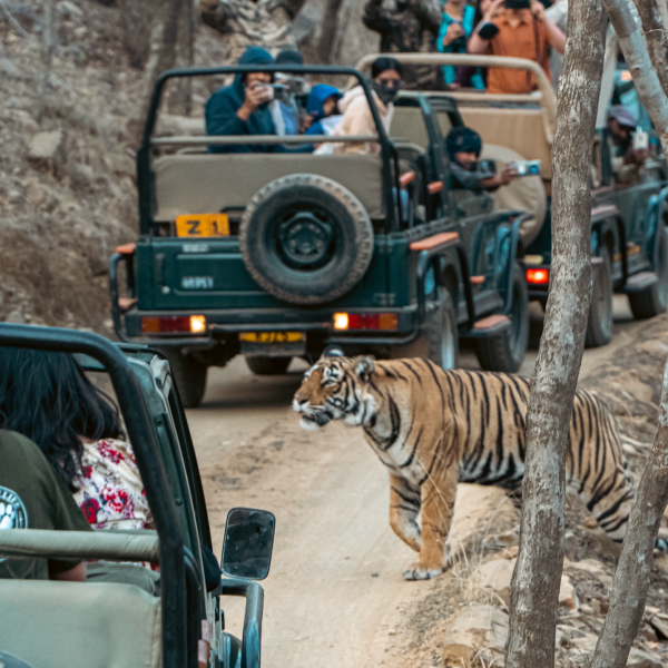 Rathambore
